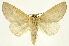  ( - INB0003301323)  @13 [ ] Copyright (2012) J. Montero INBio