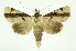  ( - INB0003301429)  @14 [ ] Copyright (2012) Juan Mata Lorenzen Unspecified