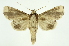  ( - INB0003301429)  @13 [ ] Copyright (2012) Juan Mata Lorenzen Unspecified