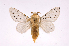  ( - INB0003311666)  @14 [ ] Copyright (2012) J. Montero Instituto Nacional de Biodiversidad