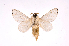  ( - INB0003311666)  @14 [ ] Copyright (2012) J. Montero Instituto Nacional de Biodiversidad