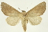  ( - INB0003311674)  @14 [ ] Copyright (2012) J. Montero INBio