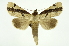  ( - INB0003311702)  @14 [ ] Copyright (2012) Juan Mata Lorenzen Unspecified