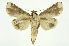  ( - INB0003311702)  @13 [ ] Copyright (2012) Juan Mata Lorenzen Unspecified