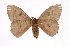  ( - INB0003315817)  @14 [ ] Copyright (2012) I. Chacon Instituto Nacional de Biodiversidad
