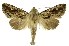  ( - INB0003316696)  @11 [ ] Copyright (2012) Juan Mata Lorenzen Unspecified