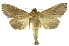  ( - INB0003316696)  @11 [ ] Copyright (2012) Juan Mata Lorenzen Unspecified