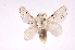  ( - INB0003316707)  @14 [ ] Copyright (2012) J. Montero Instituto Nacional de Biodiversidad