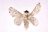  ( - INB0003316707)  @14 [ ] Copyright (2012) J. Montero Instituto Nacional de Biodiversidad