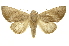  ( - INB0003316713)  @15 [ ] Copyright (2012) J. Montero INBio