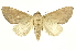  ( - INB0003316713)  @15 [ ] Copyright (2012) J. Montero INBio