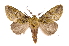 ( - INB0003319502)  @11 [ ] Copyright (2012) I. Chacon Instituto Nacional de Biodiversidad