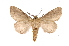  ( - INB0003319502)  @11 [ ] Copyright (2012) I. Chacon Instituto Nacional de Biodiversidad
