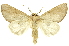  ( - INB0003319508)  @11 [ ] Copyright (2012) Juan Mata Lorenzen INBio