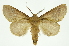  ( - INB0003319509)  @11 [ ] Copyright (2012) Juan Mata Lorenzen Unspecified