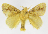  ( - INB0003319833)  @14 [ ] Copyright (2012) J. Montero Instituto Nacional de Biodiversidad