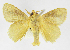  ( - INB0003319833)  @14 [ ] Copyright (2012) J. Montero Instituto Nacional de Biodiversidad