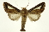  ( - INB0003320279)  @11 [ ] Copyright (2012) Juan Mata Lorenzen Unspecified