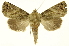  ( - INB0003320282)  @11 [ ] Copyright (2012) Juan Mata Lorenzen Unspecified