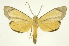  ( - INB0003326348)  @11 [ ] Copyright (2012) Juan Mata Lorenzen Unspecified