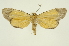  ( - INB0003326788)  @11 [ ] Copyright (2012) Juan Mata Lorenzen Unspecified