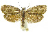  ( - INB0003327326)  @11 [ ] CreativeCommons - Attribution Non-Commercial Share-Alike (2012) National Biodiversity Institute of Costa Rica National Biodiversity Institute of Costa Rica