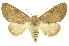  ( - INB0003327516)  @14 [ ] Copyright (2012) Juan Mata Lorenzen INBio