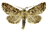  ( - INB0003327904)  @11 [ ] Copyright (2012) Juan Mata Lorenzen Unspecified