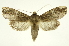  ( - INB0003328270)  @11 [ ] Copyright (2012) Juan Mata Lorenzen Unspecified