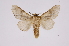  ( - INB0003328276)  @14 [ ] Copyright (2012) I. Chacon Instituto Nacional de Biodiversidad
