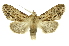  ( - INB0003328284)  @11 [ ] Copyright (2012) Juan Mata Lorenzen Unspecified