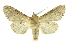  ( - INB0003328284)  @11 [ ] Copyright (2012) Juan Mata Lorenzen Unspecified