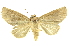  ( - INB0003331636)  @15 [ ] Copyright (2012) Juan Mata Lorenzen INBio