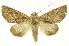  ( - INB0003331638)  @14 [ ] Copyright (2012) Juan Mata Lorenzen INBio