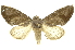  ( - INB0003337956)  @11 [ ] Copyright (2012) Juan Mata Lorenzen INBio