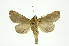  ( - INB0003337960)  @11 [ ] Copyright (2012) Juan Mata Lorenzen Unspecified