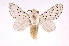  ( - INB0003339095)  @14 [ ] Copyright (2012) J. Montero Instituto Nacional de Biodiversidad