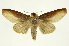  ( - INB0003339192)  @14 [ ] Copyright (2012) J. Montero INBio