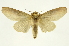  ( - INB0003339192)  @13 [ ] Copyright (2012) J. Montero INBio