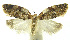  ( - INB0003339280)  @11 [ ] CreativeCommons - Attribution Non-Commercial Share-Alike (2012) National Biodiversity Institute of Costa Rica National Biodiversity Institute of Costa Rica