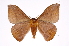  ( - INB0003339730)  @15 [ ] Copyright (2012) I. Chacon Instituto Nacional de Biodiversidad