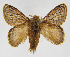  ( - INB0003340089)  @14 [ ] Copyright (2012) J. Montero Instituto Nacional de Biodiversidad