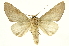  ( - INB0003340746)  @11 [ ] Copyright (2012) J. Montero INBio