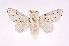  ( - INB0003340777)  @14 [ ] Copyright (2012) J. Montero Instituto Nacional de Biodiversidad