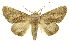  ( - INB0003347437)  @11 [ ] Copyright (2012) J. Montero INBio