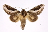  ( - INB0003347870)  @14 [ ] Copyright (2012) I. Chacon Instituto Nacional de Biodiversidad