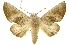  ( - INB0003351048)  @14 [ ] Copyright (2012) J. Montero INBio