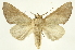  ( - INB0003351048)  @14 [ ] Copyright (2012) J. Montero INBio