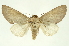  ( - INB0003351619)  @11 [ ] Copyright (2012) Juan Mata Lorenzen INBio