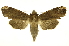  ( - INB0003351655)  @13 [ ] Copyright (2012) Juan Mata Lorenzen Unspecified